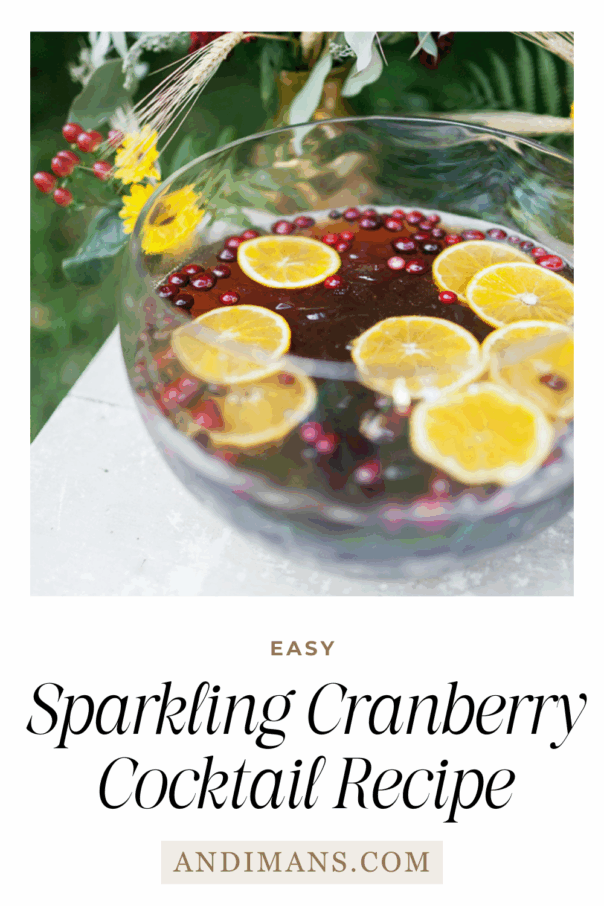 Cranberry Juice Cocktail Recipe with Sparkling Wine