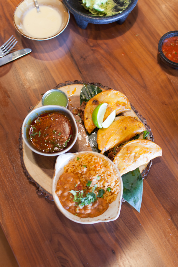 Delicious Orlando Mexican Restaurants: Agave Azul - Orlando Photography ...