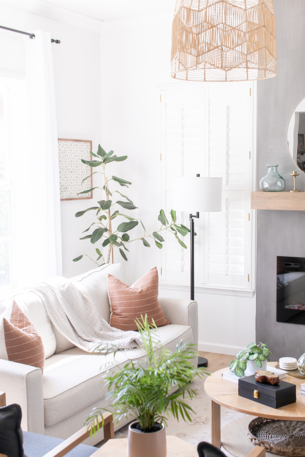 Small Family Room Ideas, Earthy living room ideas