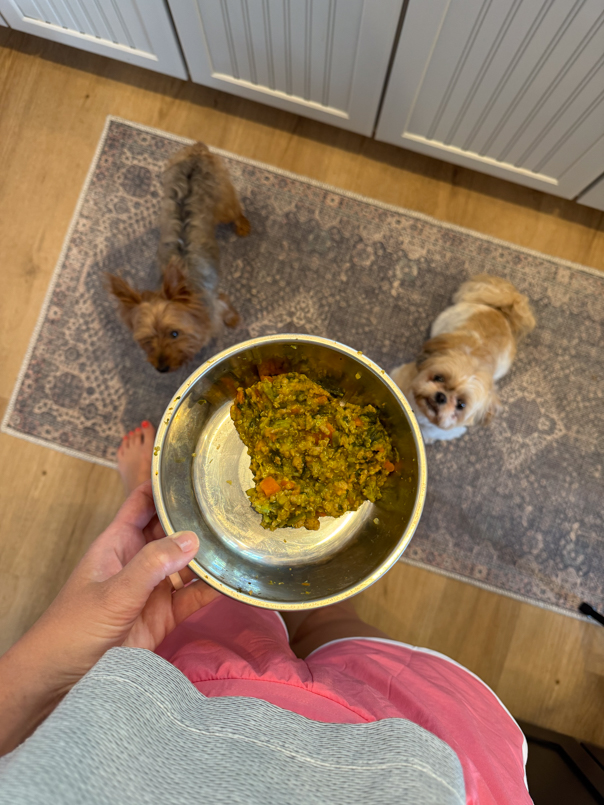 homemade nutritious dog food recipe