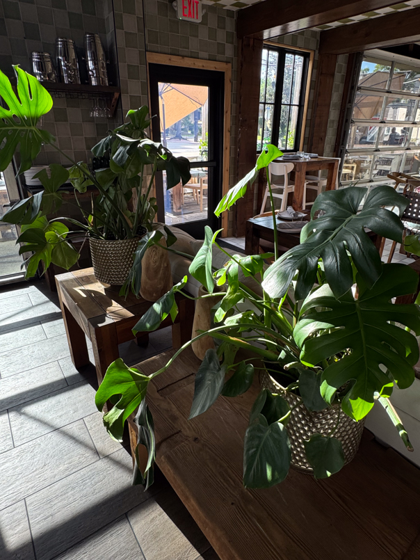 Stylish restaurant interior at JUNE Orlando perfect for a relaxed dining experience
